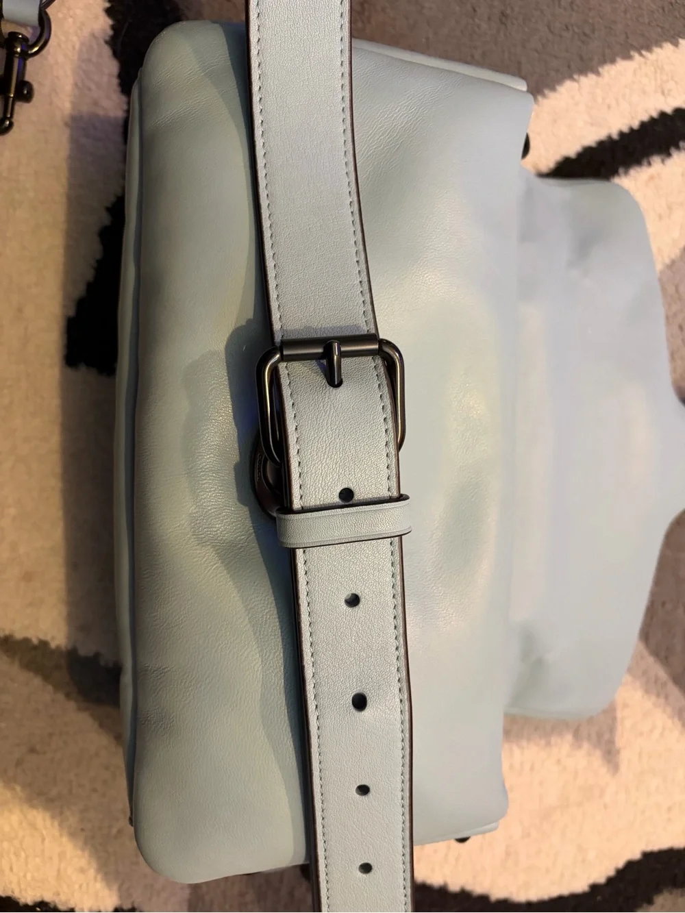 Coach Sky Blue Leather pillow tabby